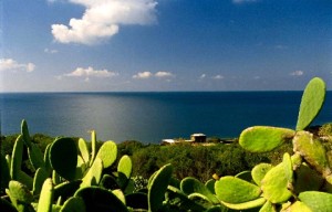 pantelleria